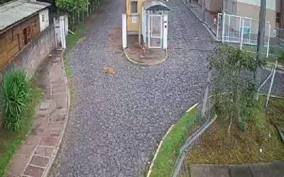 44820