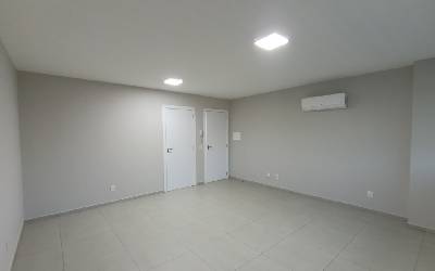 39504